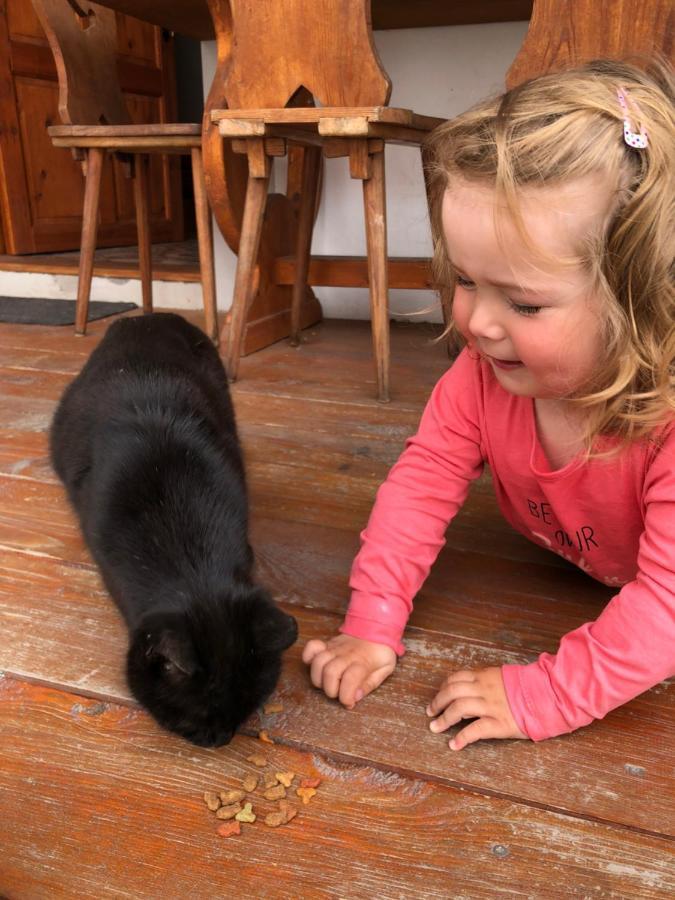 Penzion A Hospoda Na Statku Hluboká nad Vltavou Eksteriør billede